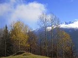 VALTELLINA - Alpe Colina - 024